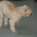 DSCN4741.jpg