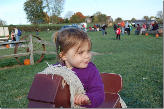 DSC_0768 DSC_0768
