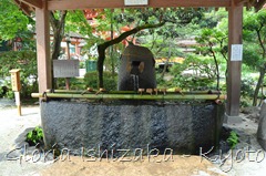 Glória Ishizaka - Kamigamo Shrine - Kyoto - 11 a