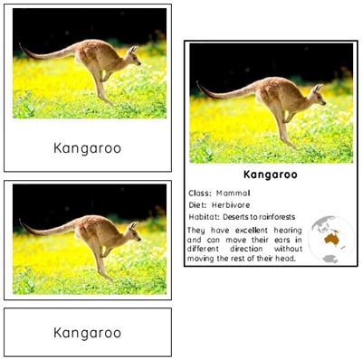 Animals of Australia Preview