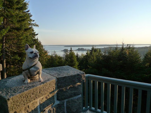 Francesca, with so many sweeping views of the ocean, it's little wonder why Martha loves it here in Mt. Desert Island and we're so fortunate to be able to travel here with her.