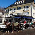 horses about to take us up to neuschwanstein castle in Füssen, Germany 