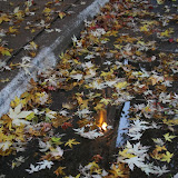 IMG_5801.JPG