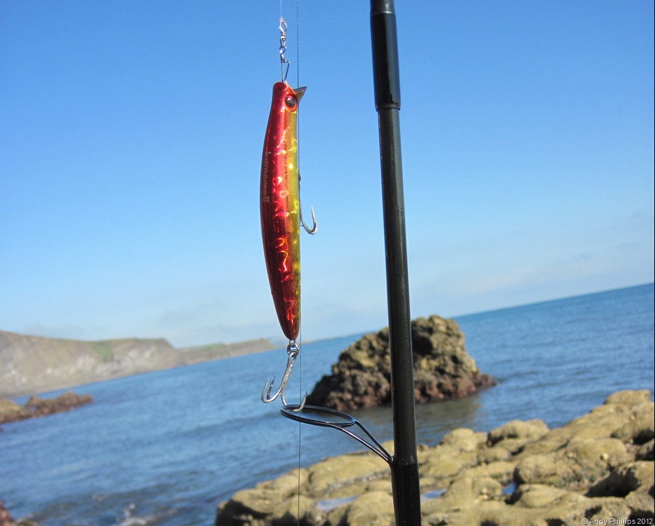 [IMG_1129%255B12%255D.jpg]