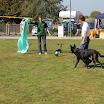 IMG_3048.JPG