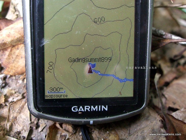 [gunung_gading_summit_hike_465.jpg]