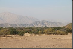 IMG_4944 IMG_4944