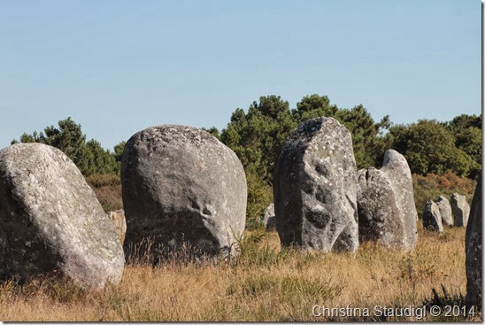 Carnac Menhire Carnac Menhire