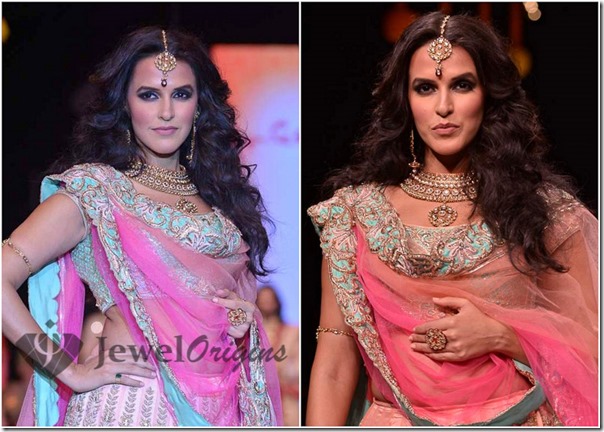IIJW_2013 (3)