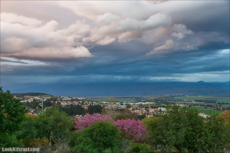 А мы пойдем на север!
