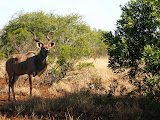 South Africa - 166.JPG