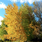 Parc de la Rivière-des-Mille-Îles