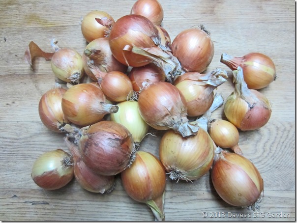 copra_onions