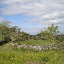 P1010573.JPG