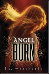 Angel Burn