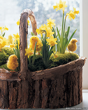 This basket looks like it was planted by Mother Nature. I love the tree branch basket and moss filling. (marthastewart.com) This basket looks like it was planted by Mother Nature. I love the tree branch basket and moss filling. (marthastewart.com)