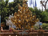 Albero sacro