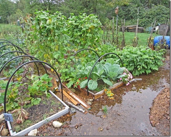 Garden flooded by tropical storm Lee