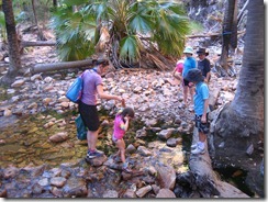 IMG_6173 IMG_6173