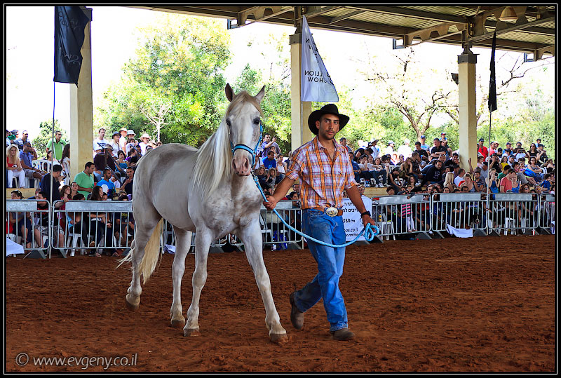 il/Фото: Stallion Show 2011 (20110416 stllion show 109 2505)
