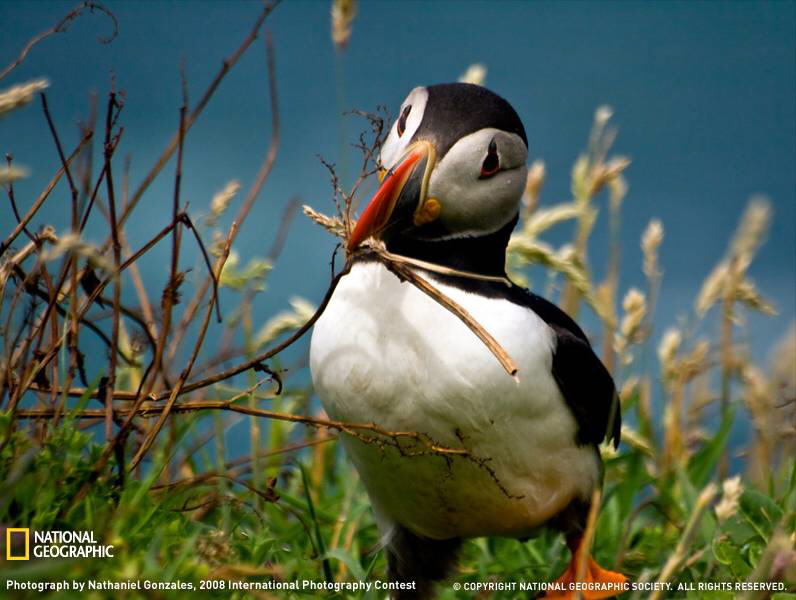 PHOTOS FROM NATIONAL GEOGRAPHIC