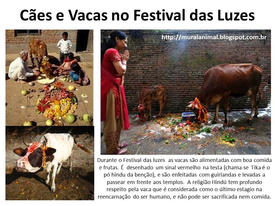 [Slide1%255B3%255D.jpg]