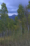 IMGP2963.jpg IMGP2963.jpg