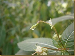 P9130014