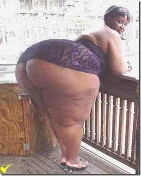 gorditas sexy (8) gorditas sexy (8)