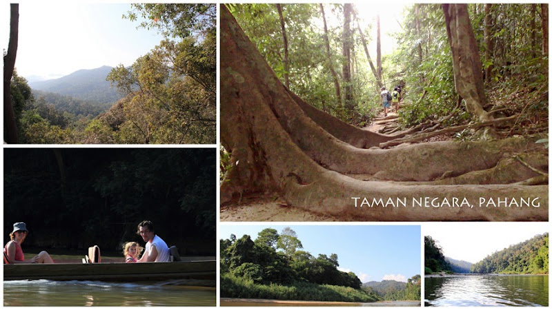 taman negara1