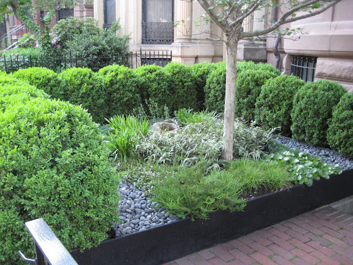 Serene Ribbon Garden on Commonwealth Avenue