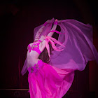 Document Name_3_33.JPG