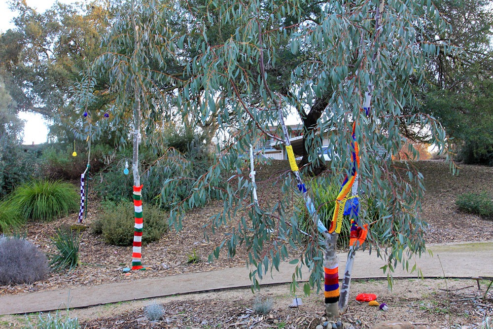 [130119_UCDA_AustralianCollection_Natural-Transformations-yarn-bombing_39%255B2%255D.jpg]