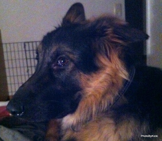 [IMG_0912%255B3%255D.jpg]