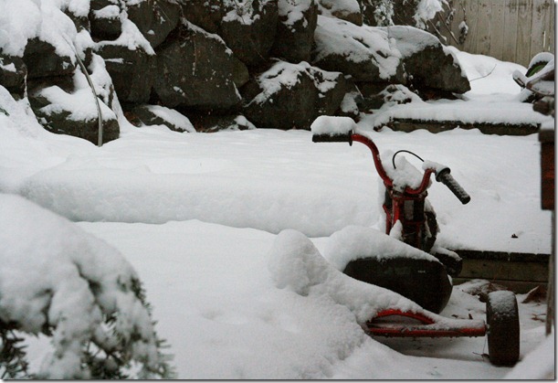 snowdays 8