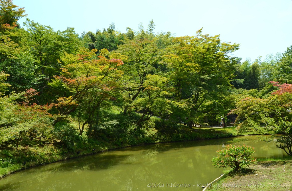 [Gl%25C3%25B3ria%2520Ishizaka%2520-%2520Kodaiji%2520Temple%2520-%2520Kyoto%2520-%25202012%2520-%252035%255B3%255D.jpg]