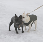 Francesca, that hardly seems fair, but it's great to be walking with you, at last!