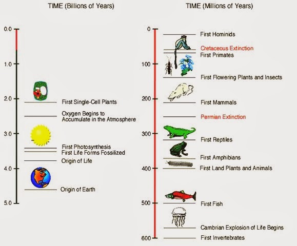 origin-of-life-evolution