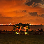 low res-9228.jpg