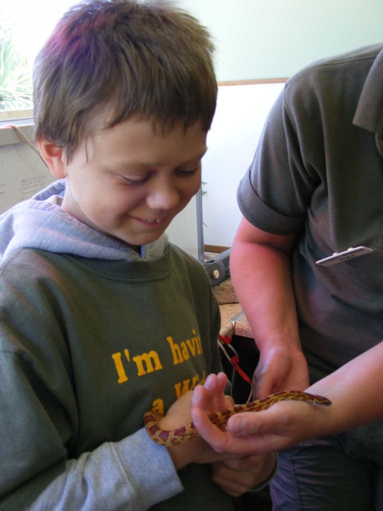 [DSCF3098%255B9%255D.jpg]