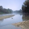 s135.jpg