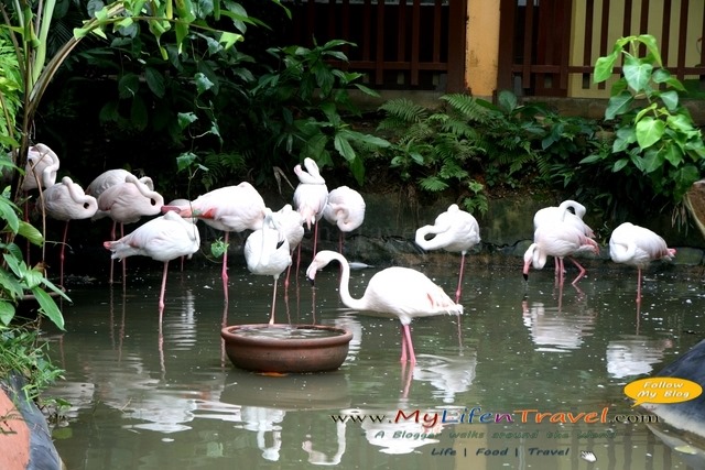 Langkawi Wildlife Park Langkawi Wildlife Park