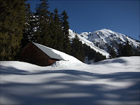 IMG_7709.jpg Photo