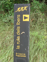 DSC08981.JPG Photo