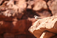 IMG_8383.JPG Photo