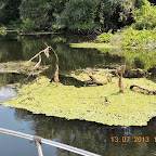 DSCN2976.JPG
