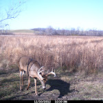 Cdy00116.JPG
