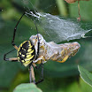 P9231253_Blog.jpg