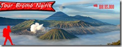 bromo bromo