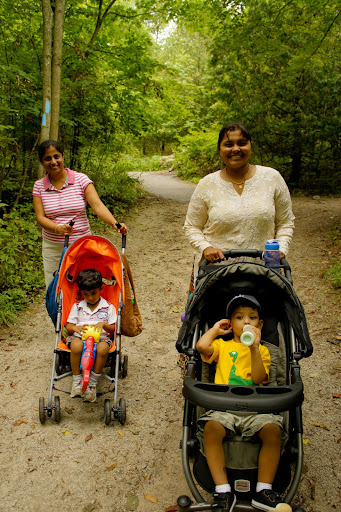 study island answers key for 8th grade history